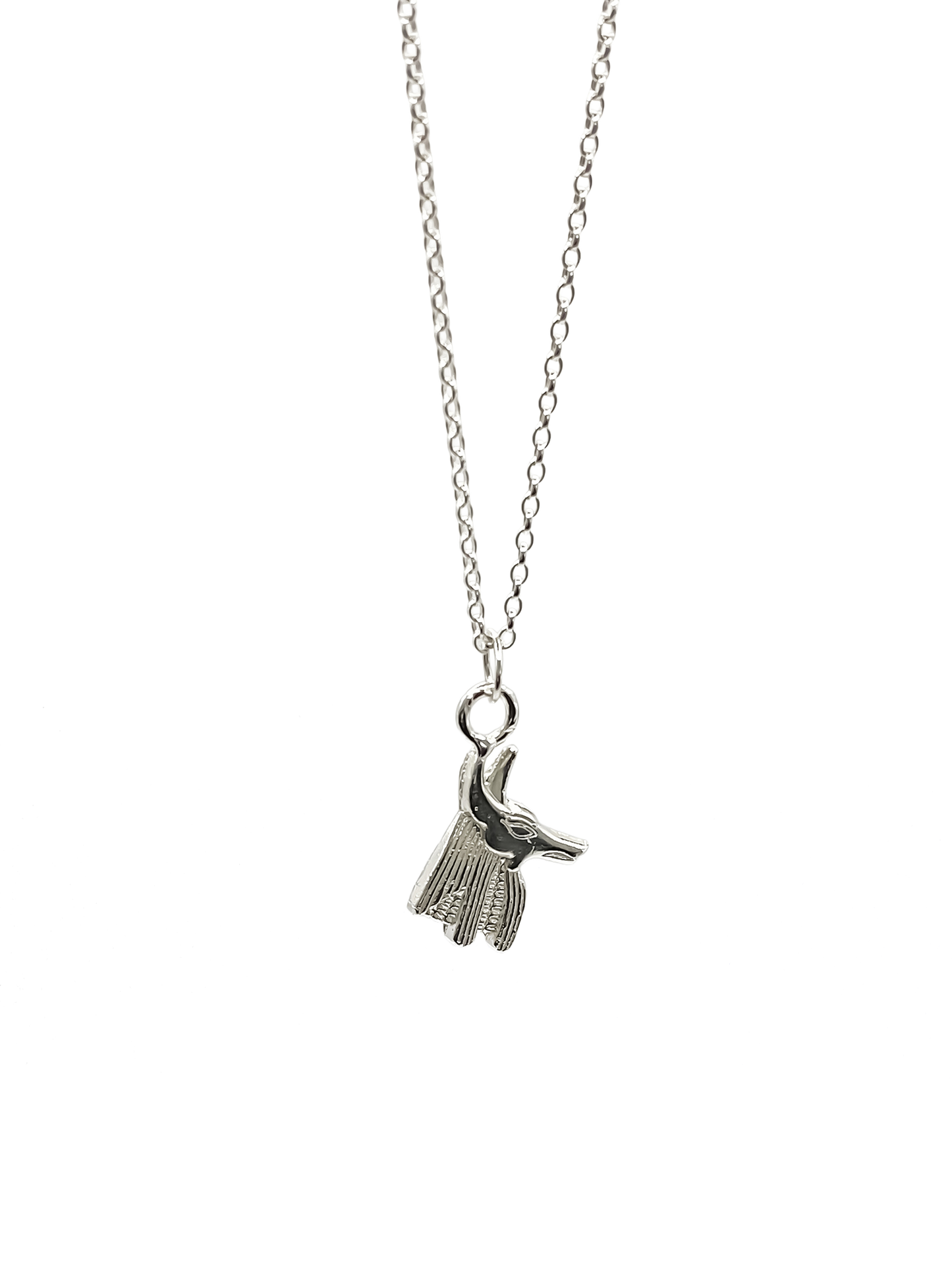 Detailed silver Anubis Pendant on chain, Afterlife Guardian from Ancient Egyptian African heritage, free shipping