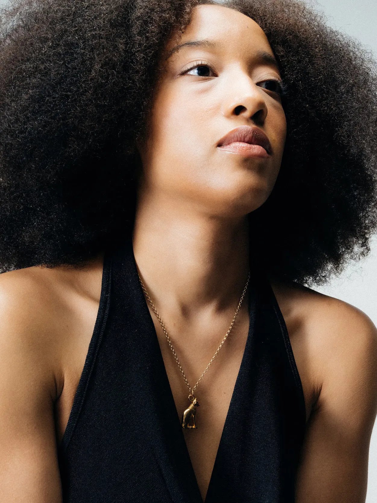 Artisan Bast Cat Necklace in premium 18ct Gold Vermeil, refined finish, angle view