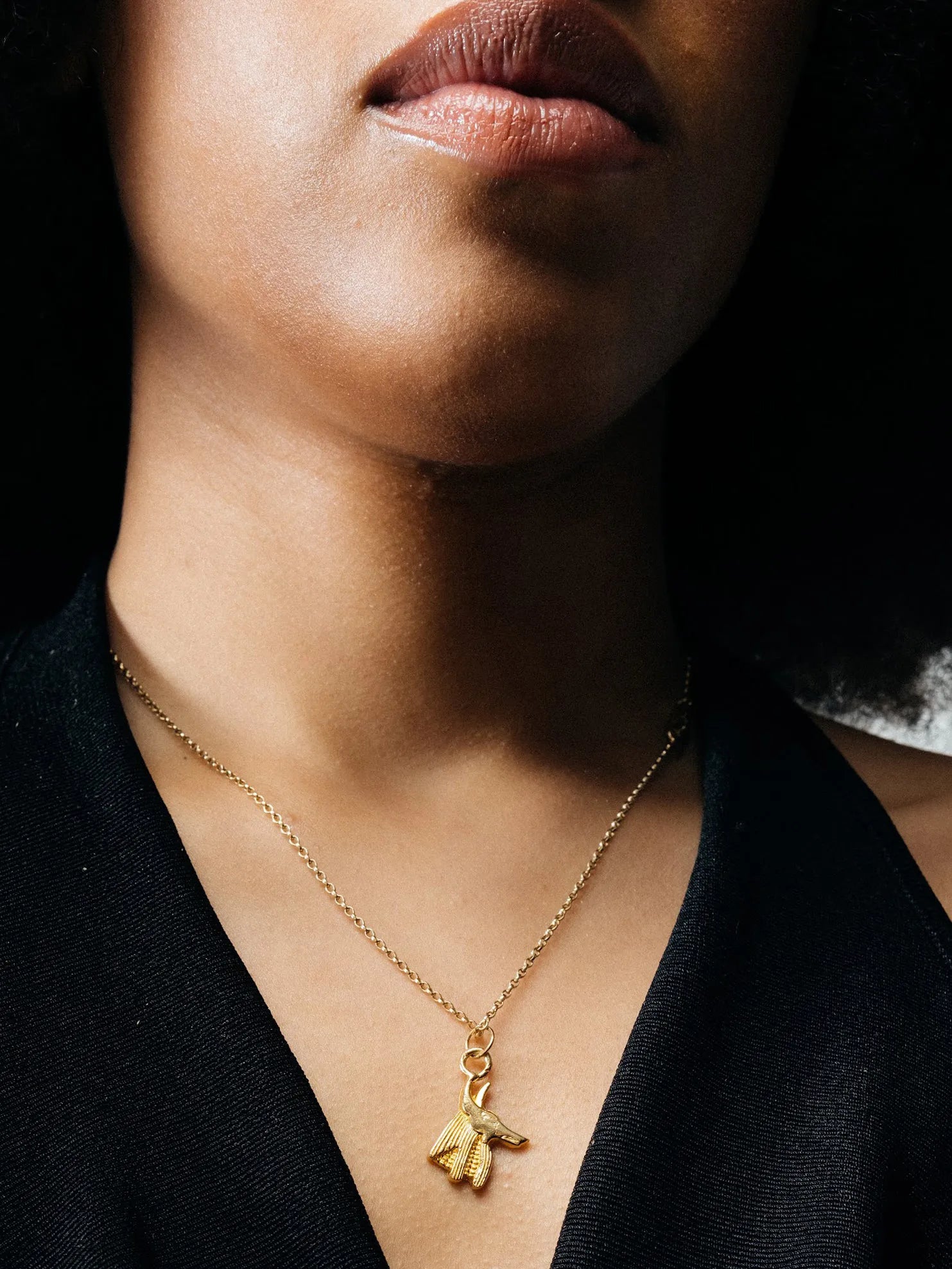 Anubis Necklace designer necklace in Sterling silver, premium quality, side view