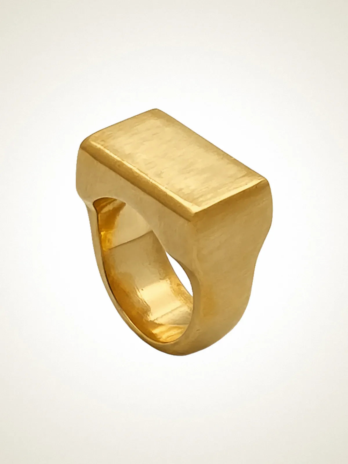 Artisan Endless Signet Ring in premium premium metal, minimal design, angle view