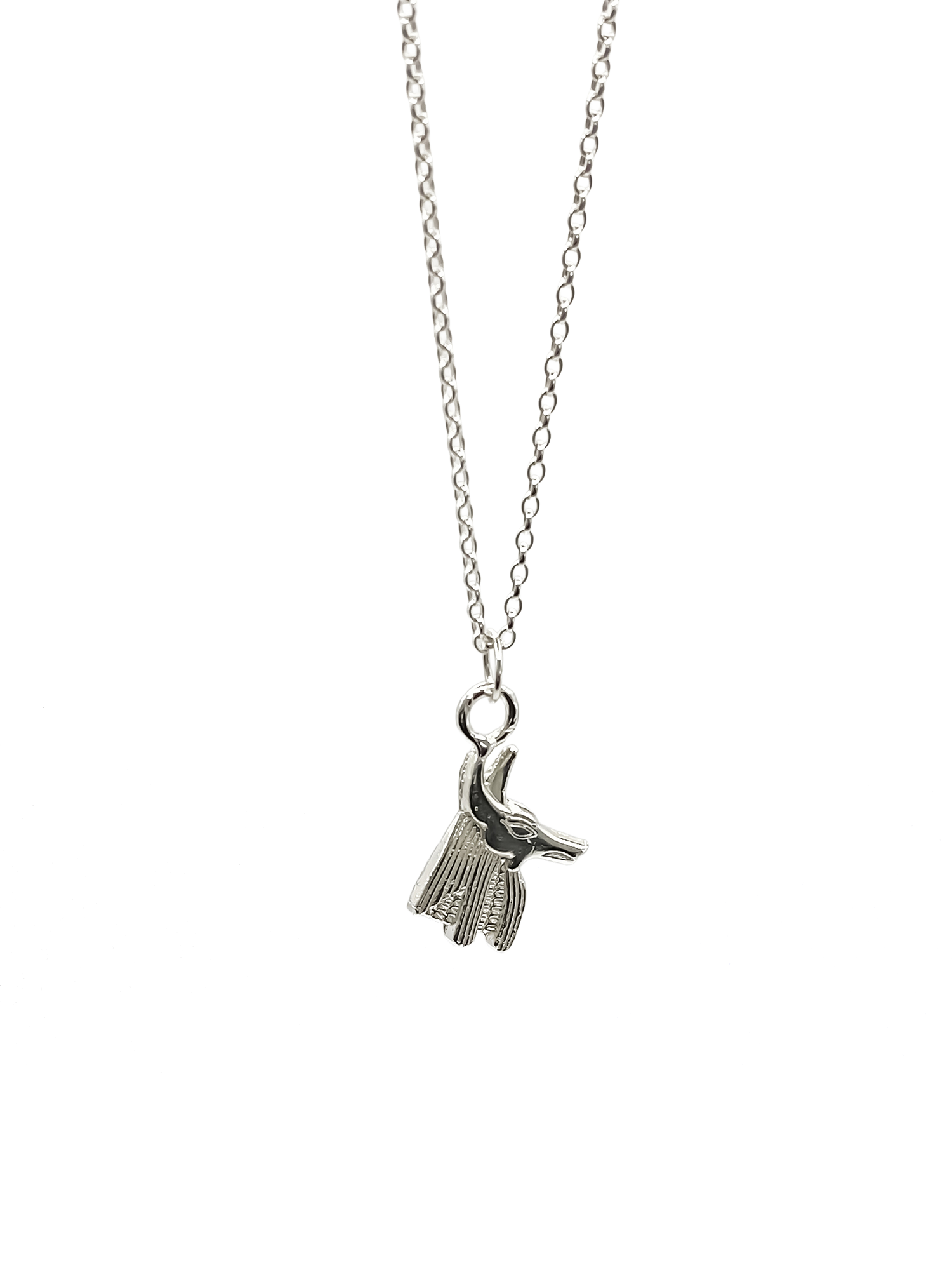 Detailed silver Anubis Pendant on chain, Afterlife Guardian from Ancient Egyptian African heritage, free shipping