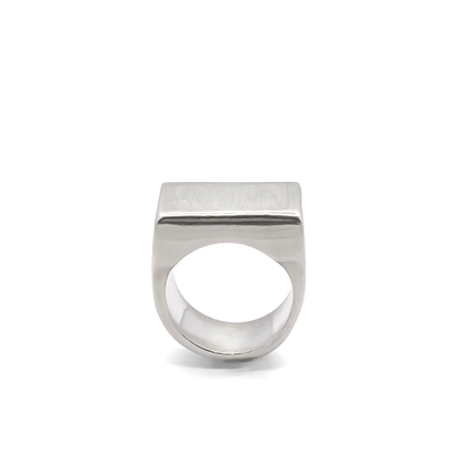 Satin finish Endless Signet Ring in bold silver or gold design