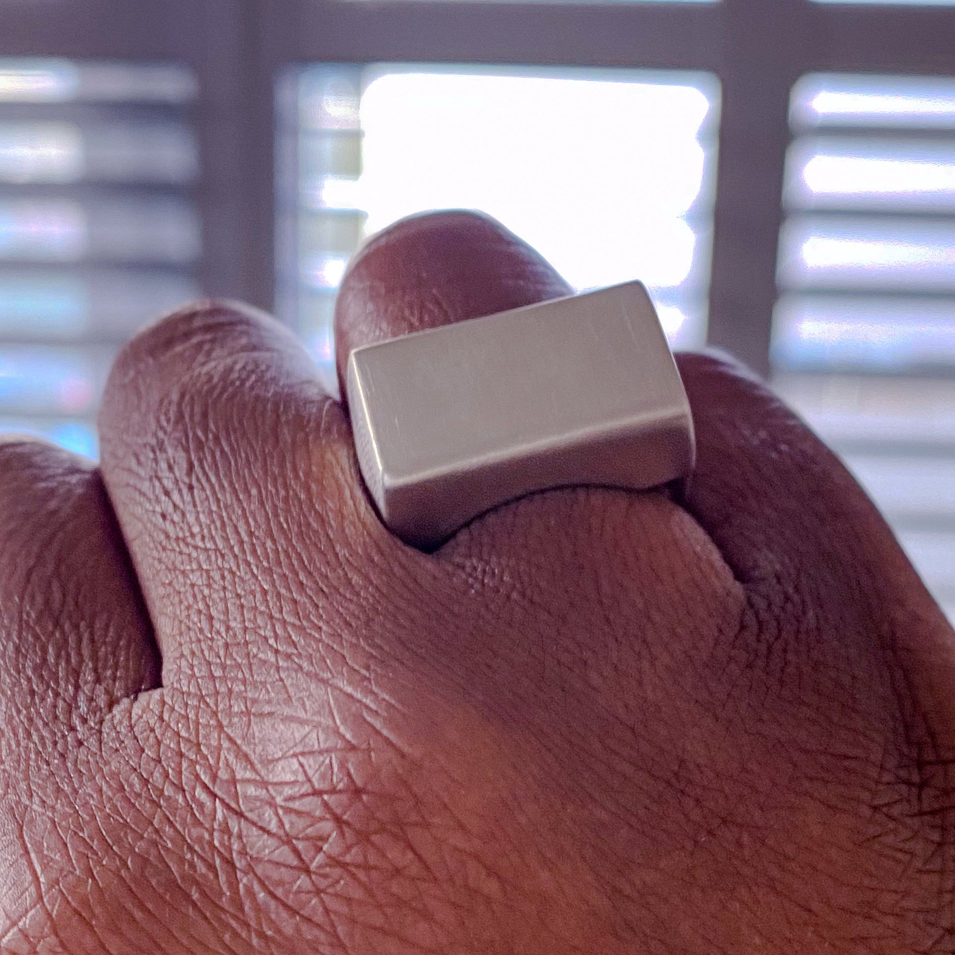 Bold Endless Signet Ring in elegant gold or silver satin finish