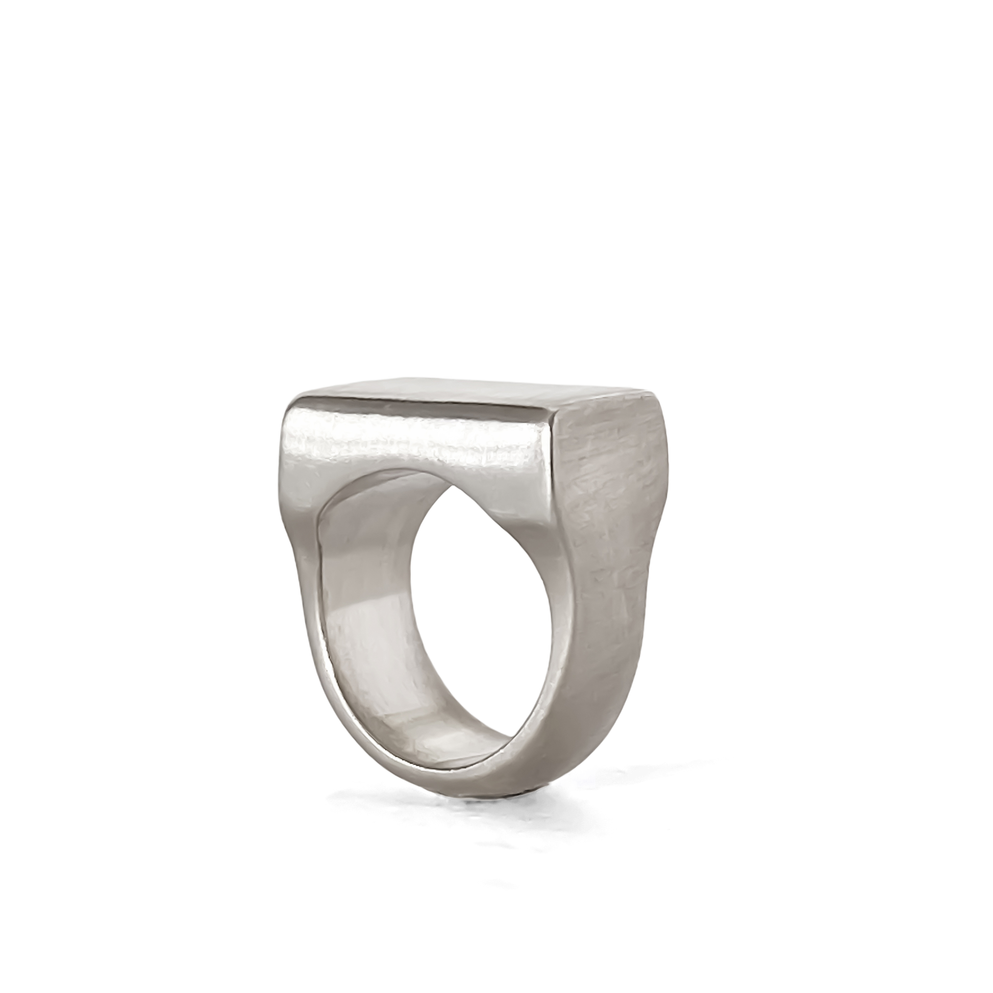 Bold and elegant Endless Signet Ring in gold or silver finish