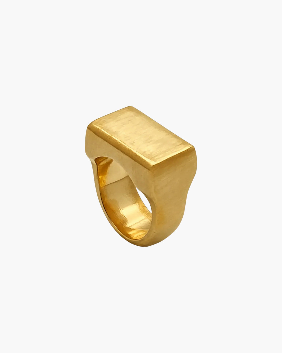 Artisan Endless Signet Ring in premium Sterling silver, minimal design, angle view